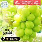 樹上完熟シャインマスカット 特別栽培 1.2kg