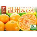 ふるさと納税 【0059-3】「濃厚な味のとろける美味しさ」温州みかん 10kg《先行予約》 和歌山県御坊市