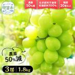 樹上完熟シャインマスカット 特別栽培 1.8kg