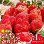 いちご 2種食べ比べ 1kg