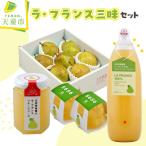 ラフランス 三昧 セット フルーツ 果物 詰め合わせ