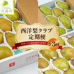 西洋梨 クラブ 定期便 全3回 フルーツ 洋梨