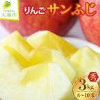 りんご サンふじ 3kg