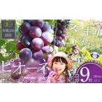 ぶどう ぶどうの粒 9粒