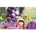ぶどう ぶどうの房 2 3房 600 700g