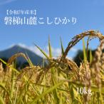 令和7年産コシヒカリ 10kg