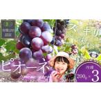 ぶどう 冷凍 200g×3パック