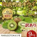 キウイ ヘイワード 9kg