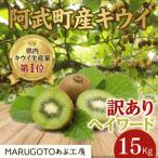 キウイ ヘイワード 15kg