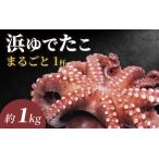 fu.... налог [ предшествующий предварительный заказ ].... примерно 1.0kg*2026 год 5 месяц средний . около последовательный отправка l Hokuriku осьминог внизу отделка завершено [B-018007] Fukui префектура юг Echizen блок 