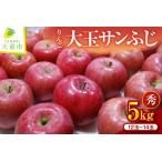 ふるさと納税 りんご ( 大玉 サンふじ ) 5kg 山形 果物 フルーツ 08-02-024 山形県天童市