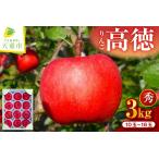 ふるさと納税 りんご ( 高徳 ) 3kg 山形 果物 フルーツ 08-02-023 山形県天童市