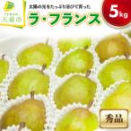 ラ フランス 5kg