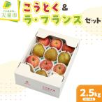 りんご こうとく ラフランス セット 2.5kg