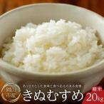 令和8年産 米 きぬむすめ 精米 20kg