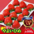 いちご やよいひめ 2026年全国いちご選手権入賞 400g