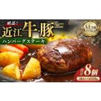 A4等級以上保障 近江牛 豚絶品ハンバーグステーキ