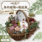 fu.... налог много мясо BASE тщательно отобранный! суккулентное растение. коробка двор способ [....]1 горшок [ рассылка не возможно регион : отдаленный остров ][1715898] Hyogo префектура .. город 