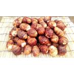 八幡芋 Lサイズ 1.0kg