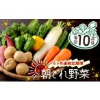 朝どれ野菜10品目 ~新型コロナ支援 野菜