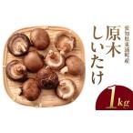原木栽培生しいたけ 約1kg