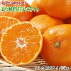 和歌山 有田みかん 5kg