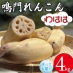 fu.... налог .. renkon 4kg renkon Tokushima префектура 