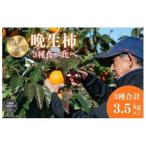 富有柿 陽豊柿 太豊柿 晩生柿3種食べ比べセット