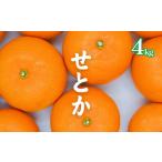訳あり せとか 約4.0kg