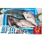 三陸産 鮮魚詰め合わせ 3~5種類程度 新鮮