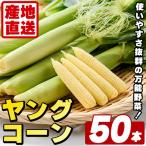 ヤングコーン 50本