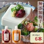 無添加 紀州南高梅の梅チューブ6本セット