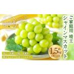 ご シャインマスカット 晴王 約1.5kg