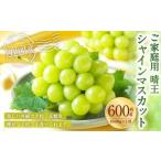 ご シャインマスカット 晴王 約600g