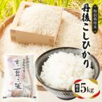 丹後コシヒカリ 特別栽培米 白米 5kg