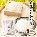 丹後コシヒカリ 特別栽培米 白米 10kg