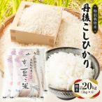 丹後コシヒカリ 特別栽培米 白米 20kg