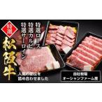 松阪牛 オールスター セット 0061