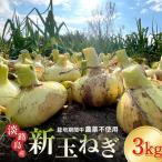 fu.... налог новый шар лук порей Awaji Island производство 3kg.... ферма .. новый шар лук порей Hyogo префектура .книга@ город 