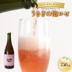 スパークリングワイン うさぎの泡ロゼ 750ml