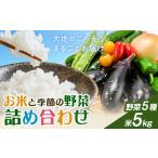 米 野菜 詰め合わせ 季節の野菜 きぬむすめ