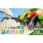 米 野菜 詰め合わせ 季節の野菜 きぬむすめ
