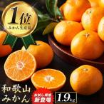 みかん ご 約1.9kg