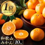 和歌山みかん 約10kg
