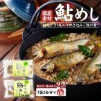 丹波山 鮎めし 鮎 炊き込みご飯の素 2種