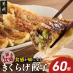 食感が癖になる きくらげ餃子60個