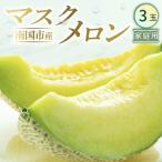 マスクメロン 3玉入