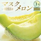 マスクメロン 3玉入
