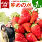 いちご ゆめのか 計1kg