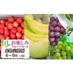 ふるさと納税 【定期便】【令和8年産先行予約】 山形県鶴岡産 旬のお楽しみフルーツセット (果物) さくらんぼ・メロン・大粒ぶどうの詰合せ (計3.. 山形県鶴岡市